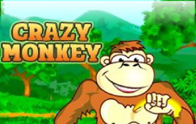 Crazy Monkey